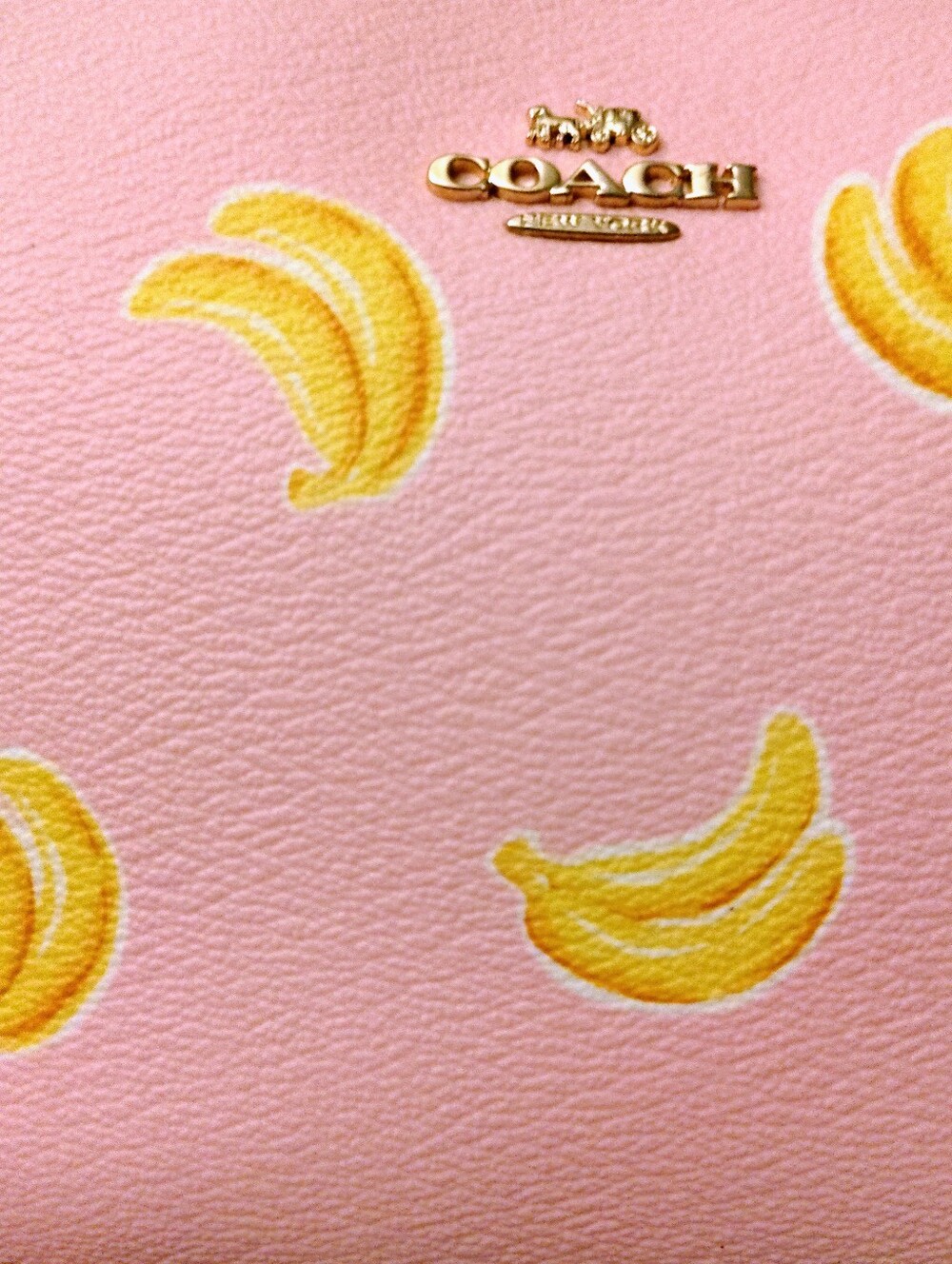 Coach Banana Crossbody Bag - Picture 5 of 8